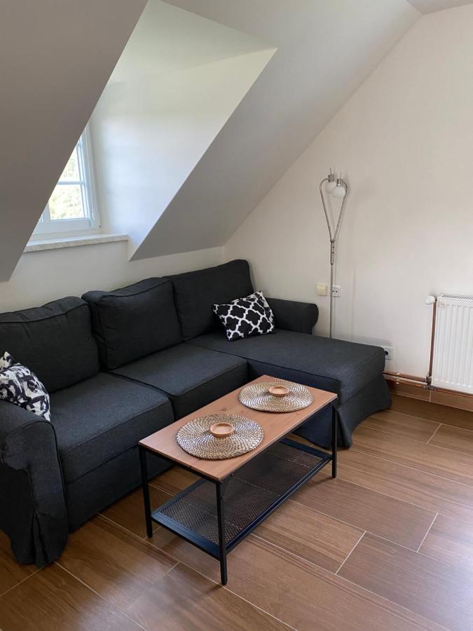 Apartman 430 Destne v Orlickych horach Buitenkant foto