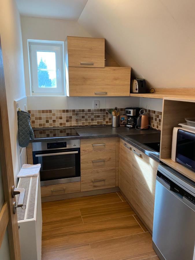 Apartman 430 Destne v Orlickych horach Buitenkant foto